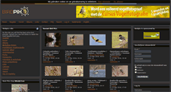 Desktop Screenshot of birdpix.nl