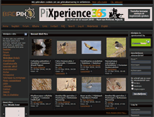 Tablet Screenshot of birdpix.nl